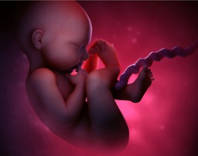 Từ trong bụng mẹ, thai nhi rất sợ khi mẹ làm những việc này!