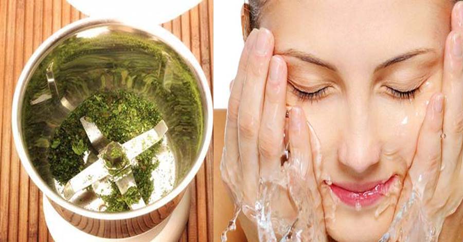 Xay nhuyễn lá chanh rồi trộn với bột nghệ thoa lên mặt 15 phút, mụn nào cũng trị sạch, da trắng bóc nhìn là mê
