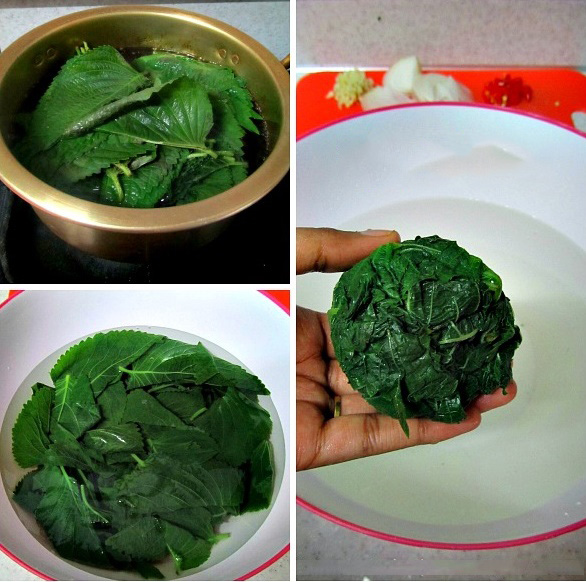 Vò lá này đun lấy nước để xông mặt rồi tắm, da trắng mịn ngay lập tức, mụn ẩn sẽ biến mất