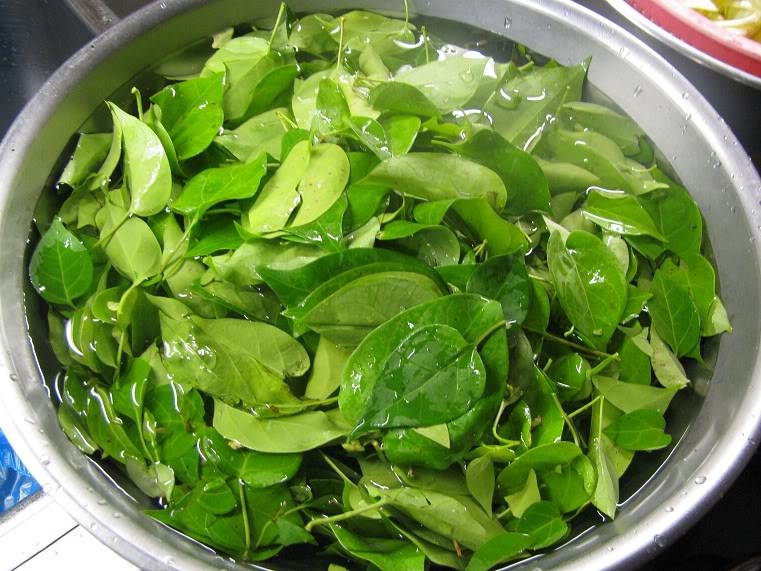 CHỈ CẦN ĂN 10 LOẠI LÁ NÀY, MỠ CỨNG ĐẦU ĐẾN MẤY CŨNG BIẾN NGAY KHÔNG PHẢI NGHĨ