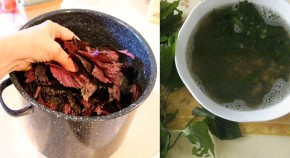 Không cần kem tẩy, mỗi ngày rửa mặt 1 lần với lá này, da trắng như bông bưởi chỉ sau 1 tuần