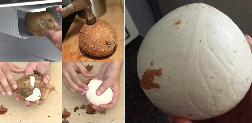 Mẹo tách vỏ dừa ra khỏi cùi dừa chỉ trong 1 nốt nhạc