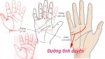 Vận mệnh tình duyên, cả tuổi kết hôn nữa đều nằm tất cả trên ĐƯỜNG CHỈ TAY – Hãy xem ngay!