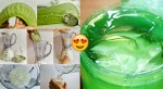 1 hũ gel nha đam dưỡng da tự làm sánh ngang mỹ phẩm tiền triệu