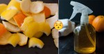 Ngâm vỏ cam cùng giấm trắng – Mẹo hay mà bạn tiếc hùi hụi vì không biết sớm hơn
