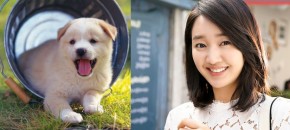 TOP 5 con giáp thiện lương một đời hưởng đại phúc đại lộc, vô nghĩ vô lo