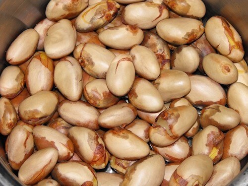 Thì ra hạt mít còn có những công dụng làm đẹp khiến bạn tròn mắt