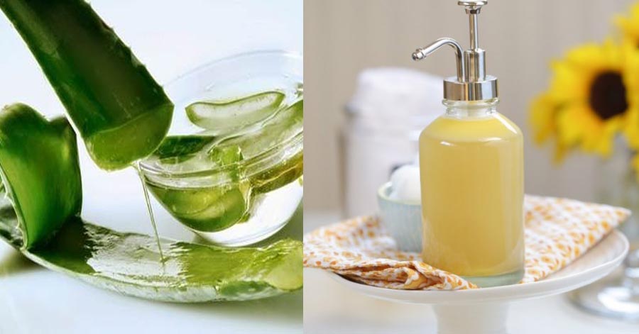 Tự làm sữa rửa mặt nghệ mật ong – da khô bẩm sinh hay đi nắng nhiều cũng sẽ mềm mại
