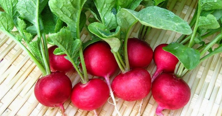 8 thực phẩm ăn vào da đẹp, dáng xinh “hút hồn” người đối diện