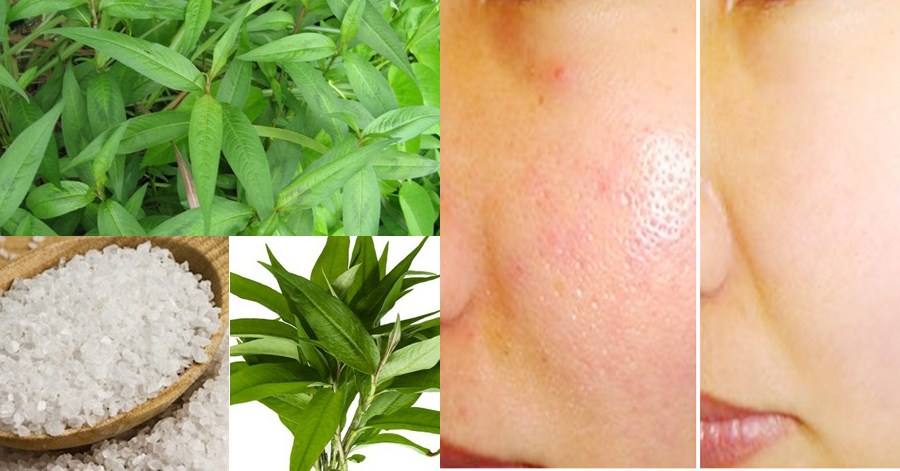 Giã nát rau này rồi trộn với muối, lỗ chân lông to cỡ nào cũng se khít khìn khịt tự nhiên