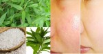 Giã nát rau này rồi trộn với muối, lỗ chân lông to cỡ nào cũng se khít khìn khịt tự nhiên