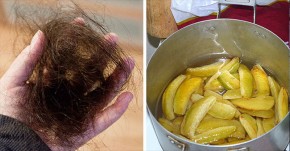 Tóc rụng gần hói cũng sẽ mọc lại đen đầu chỉ nhờ vào 1 trái này