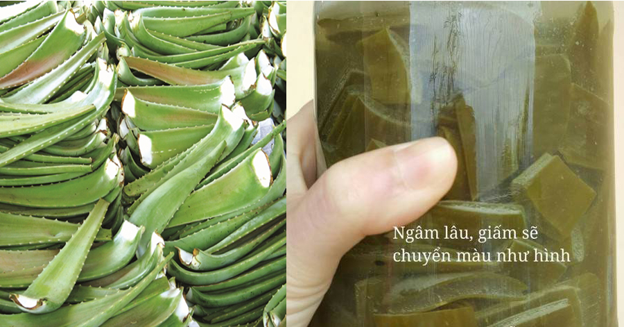 Cùng làm “nha đam ngâm giấm” để da trắng bóc chẳng cần thoa kem