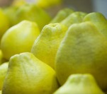 Năm loại sinh tố cứ uống là vòng 1 tăng size vù vù