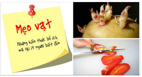 Bỏ túi 20 mẹo hay này, chồng sẽ mát mặt vì vợ đảm đang