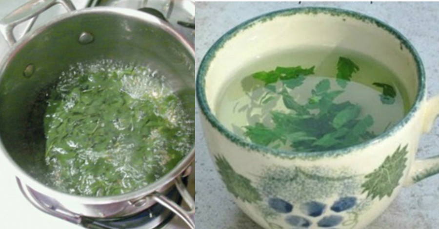 Tống cổ 7kg trong 15 ngày với công thức nước uống từ rau mùi