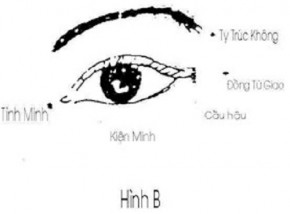 Không cần Spa, da vẫn đẹp như tuổi 20 nếu bạn biết “ấn” những huyệt vị trên mặt sau