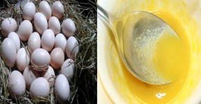 Đắp mặt nạ 2 lần 1 tuần mà da căng mịn, nám và tàn nhang cũng mờ rõ rệt nhờ 1 quả trứng và 1 quả chanh