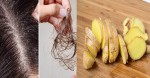 Gàu nhiều trắng đầu, tóc rụng đến mấy cũng được trị khỏi dứt điểm nhờ giã gừng để ủ theo cách này