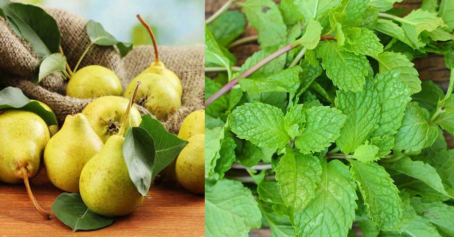 9 cách tự nhiên khử mùi hôi miệng hiệu quả, cho bạn thêm tự tin hơn