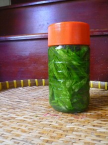 Phụ nữ nào có một hũ nha đam ngâm rượu trong nhà thì dù có già đến mấy da vẫn căng đẹp, mịn màng như gái 20