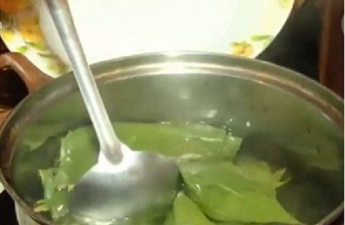 Lấy lá này đun nước rửa, vùng kín luôn se khít hồng hào và không còn viêm ngứa