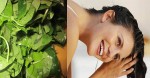 Đun lá trầu không với muối rồi gội đầu,sau 1 đêm sẽ có điều kỳ diệu xảy ra