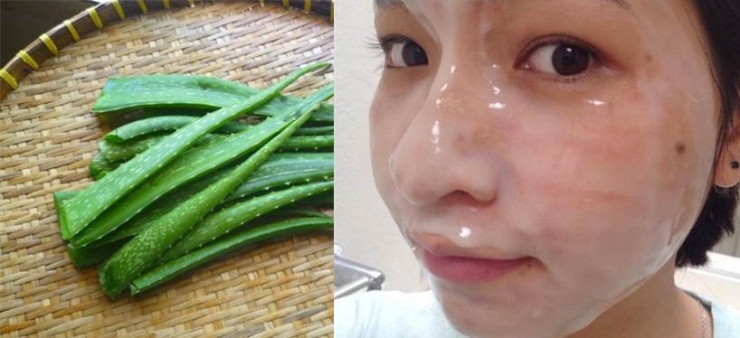 Trộn nha đam với sữa chua không đường, da chẳng những trắng mịn mà lỗ chân lông còn se khít