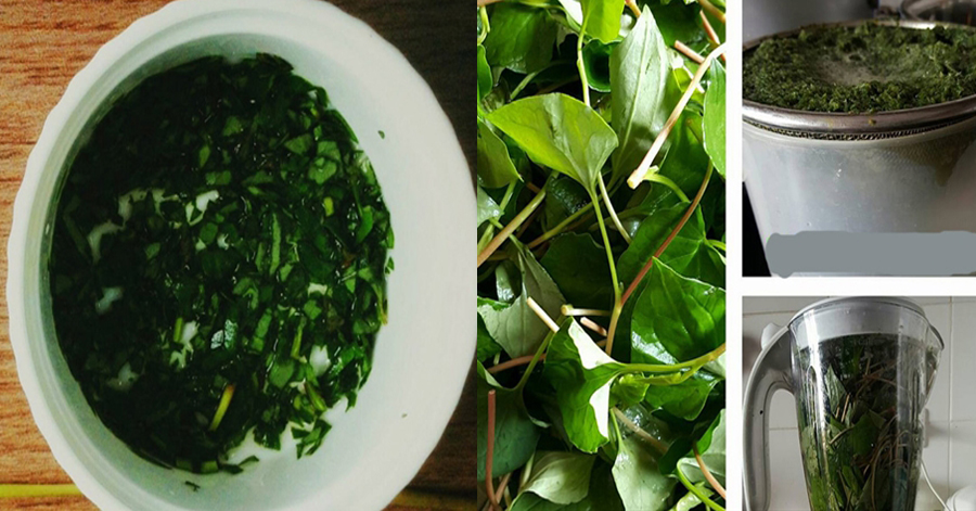 Kinh nghiệm trị sạch mụn, trắng da cấp tốc sau 2 tuần với diếp cá