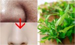 Sau tất cả, rau răm mới là loại thần dược tự nhiên biến lỗ chân lông to trở nên khít khìn khịt chỉ sau 1 đêm sử dụng