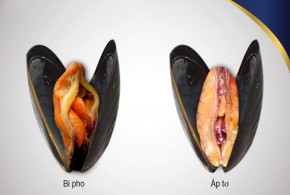 Duy trì 2 lần/tuần, mẹo dân gian cực hay này sẽ giúp vùng kín của bạn SE KHÍT và HỒNG HÀO tự nhiên