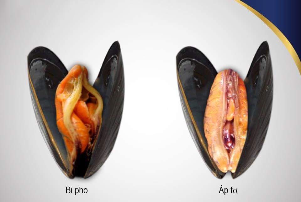 Duy trì 2 lần/tuần, mẹo dân gian cực hay này sẽ giúp vùng kín của bạn SE KHÍT và HỒNG HÀO tự nhiên