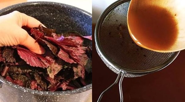 Vò nát 2 loại rau này rồi nấu lấy nước tắm, da toàn thân trắng lên không ngờ chỉ sau 1 lần sử dụng