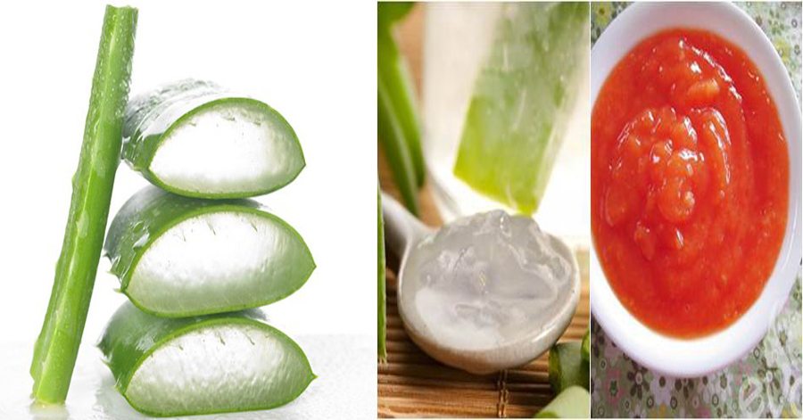 4 cách sử dụng 1 nhánh nha đam hiệu quả nhất trong công cuộc chăm sóc da