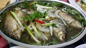 Công dụng TRIỆU ĐÔ từ CÁ DIẾC chữa được hàng chục bệnh từ nặng đến nhẹ, từ già đến trẻ