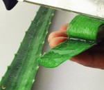 Mụn lở loét sưng tấy cả tháng không đỡ cũng khỏi ngay tức khắc chỉ nhờ chà thứ này 5 phút