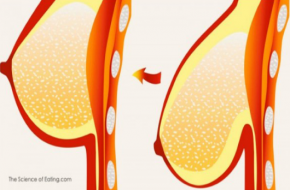 Làm 1 tuần/lần: vòng một xẹp lép, chảy xệ cũng to và săn chắc như gái đôi mươi