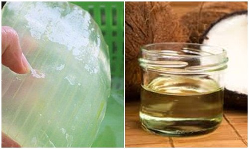 Trộn dầu dừa và nha đam lại rồi chà lên da trước khi đi ngủ thế này, bạn sẽ sốc khi thấy sự thay đổi của mình sáng hôm sau