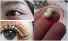Nếu có ý định đi nối mi thì bạn nên từ bỏ ngay và thoa thứ này 1 tuần liên tục, lông mi dài nhanh và cong vút như búp bê