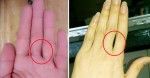 Chỉ nhìn khe hở ngón tay là biết ngay có số sang giàu hay nghèo khó