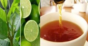 Hôi miệng, đau nhức, ê buốt răng đều phải biến mất “ngay và luôn” với tuyệt chiêu từ lá ổi