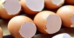 Lấy vỏ trứng làm theo cách này để cải thiện chiều cao