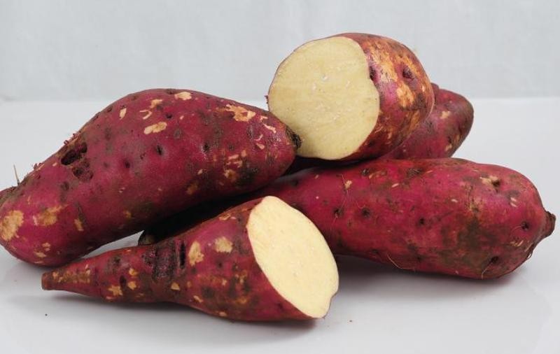 Chỉ cần ăn thực phẩm này tóc đẹp cực nhanh mà không mất tiền