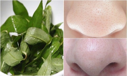 Trộn nước rau răm với 1 thìa muối rồi thoa lên mặt, lỗ chân lông to đến mấy cũng se khít, da trắng sáng bất ngờ