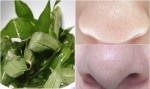 Trộn nước rau răm với 1 thìa muối rồi thoa lên mặt, lỗ chân lông to đến mấy cũng se khít, da trắng sáng bất ngờ
