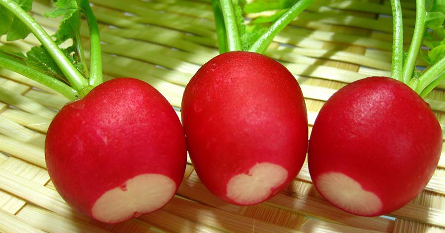 Top 5 loại quả càng ăn da càng ẩm, mướt mịn thích hợp cho mùa hè này