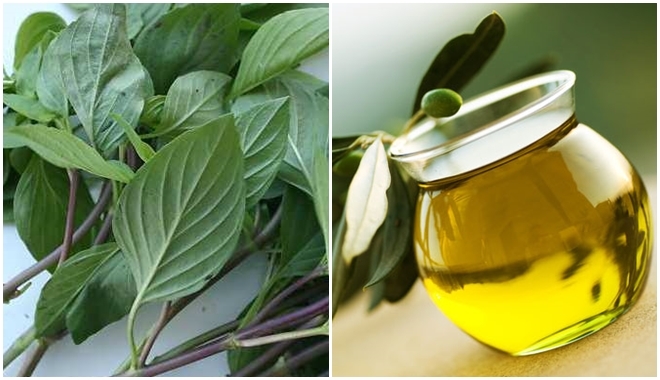 Massage da đầu với 3 công thức tinh dầu tự chế này sẽ hết rụng tóc ngay