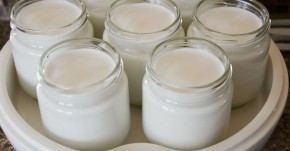 Làm sữa chua túi ăn mỗi ngày, 1 tuần giảm 5kg, da dẻ trắng hồng tự nhiên