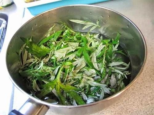 Cách dùng ngải cứu giúp trắng da, xóa sạch mụn, loại bỏ mỡ thừa