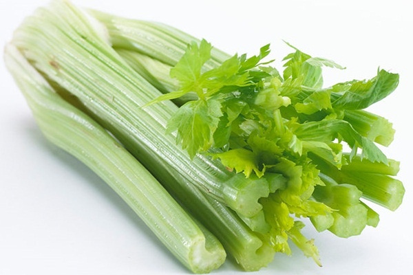 Tuyển tập các công thức nước ép cần tây giúp bạn gái giảm cân hiệu quả
